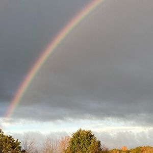 Meet your Posher, Zinnia Wears!